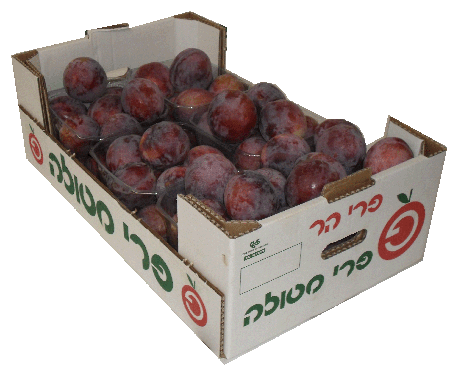 ארגז שזיפים